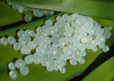 聚氨酯樹(shù)脂
