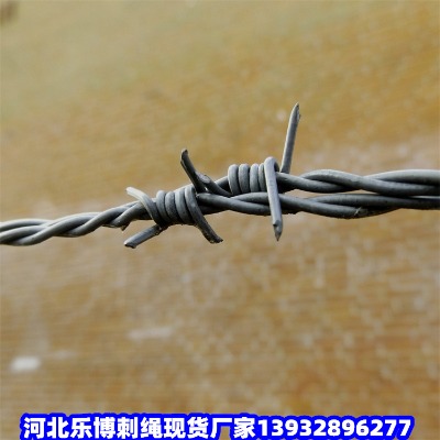 дFzW(wng)F޼x_\FzW(wng)
