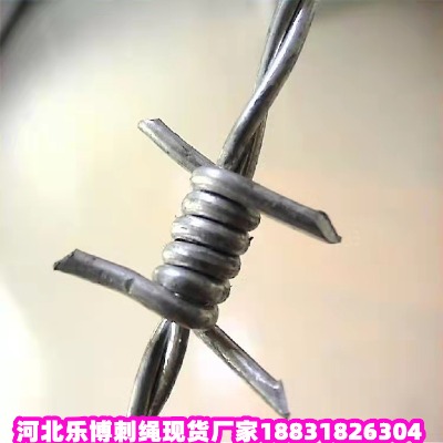 ؑc\KS 山2.5F̾W(wng) 5FzW(wng)