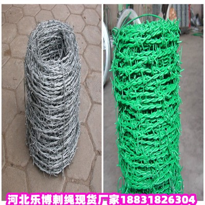\KS 2ן\FzW(wng)