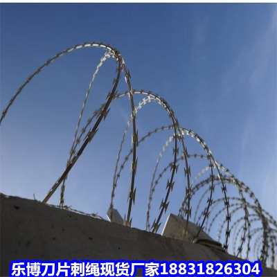 F\KS ʑ9̎ P10o(h)W(wng)
