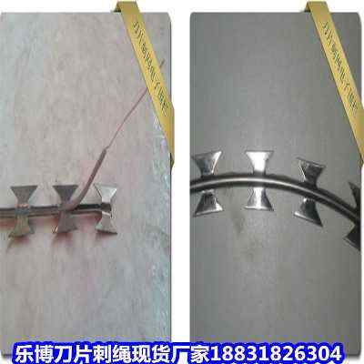 ӱ\ƬKF(xin)؛SҺĮӱO(jin)zo