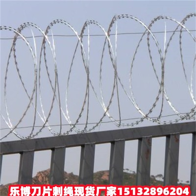 ӱ\ƬKF(xin)؛SϺO(jin)zo(h)W(wng)֖|µƬ̽zL\