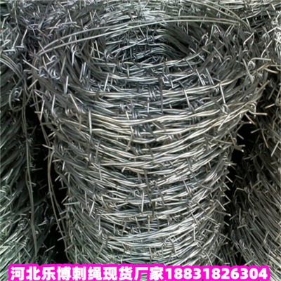 \KS8\䓽zW(wng)F(xin)؛(yng)