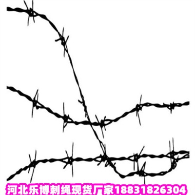 \KS2.8\дFzW(wng)F(xin)؛(yng)