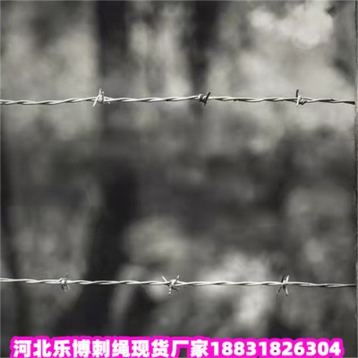 \KS2.2׵·B(yng)oFzW(wng)F(xin)؛