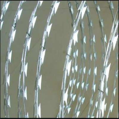 _Ƭ̽zL\SҲC(j)(chng)o(h)W(wng)֥L\Ix