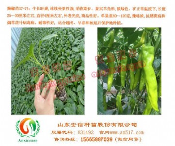 ӱl(f)ŷN簲ȫ
