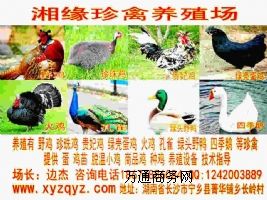 ̶ȸÓء{ȸ硩Nȸr