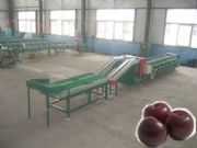 pxC