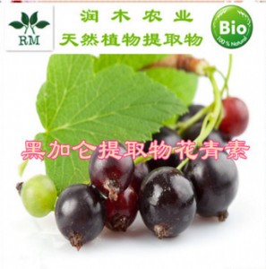 ڼӁȡﻨ25W(bio)