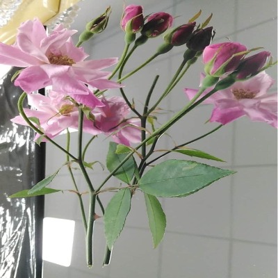 12kR治P䓰
