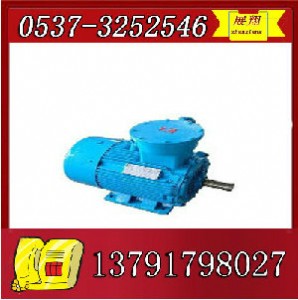 ybk2-315l2-4늙C(j)ֱN