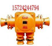BHD2-400/1140-4TVø͵͉|Ӿ