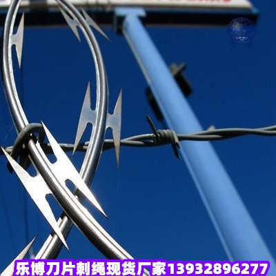 _o(h)Ƭ̾W(wng)_|O(jin)zo(h)W(wng)O(jin)zo(h)
