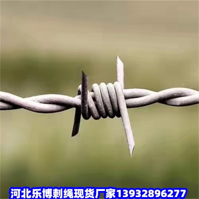 (ni)ɹŇ̺ͺع·̾W(wng)^\䓽zW(wng)