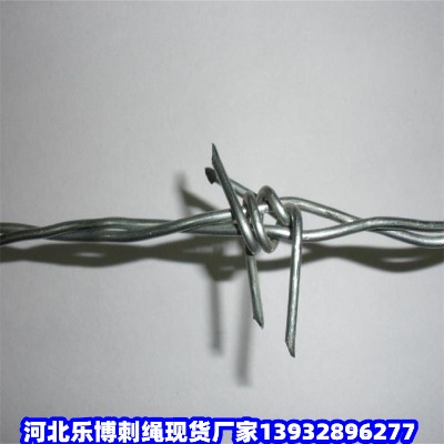 |С^(q)^IW(wng)_ԴKƱFzW(wng)