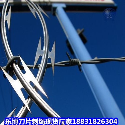 \KS ݟ\Ƭ̾W(wng) 䓴̽zL\