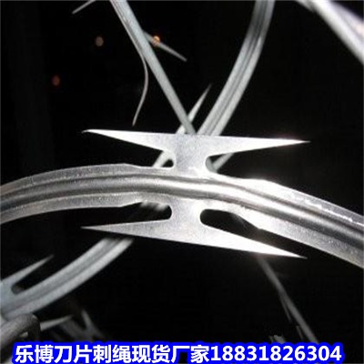 Ϻ\KS ִKoھW(wng) oCƬ̾W(wng)