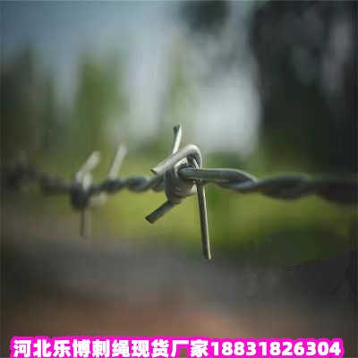 _\KS |FzW(wng) mF̾W(wng)