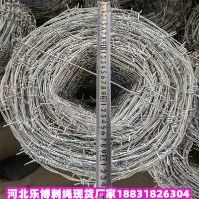 \KS ʏ12̖(ho)\Fz ~14̖(ho)̽zW(wng)