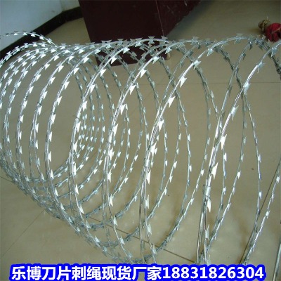 V\KS 12̖(ho)\PIW(wng)