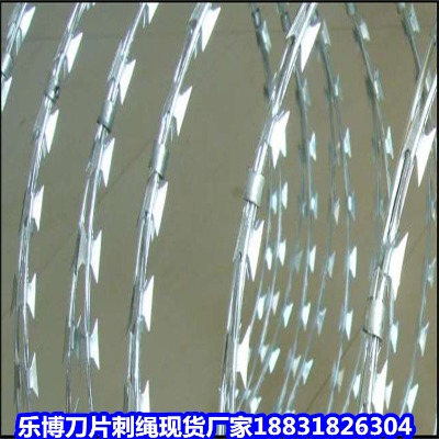 C\KS RĻ10ԺI̾W(wng)
