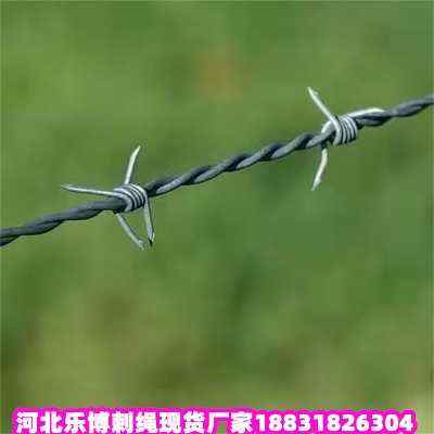 ƽ\KF(xin)؛SҺӱشKڸ߱ꎧ̇