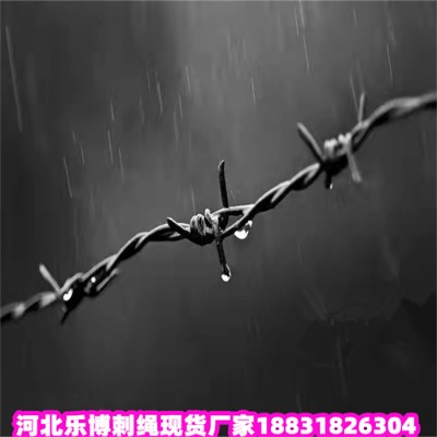 㽭\KS9Fz(l)(yng)