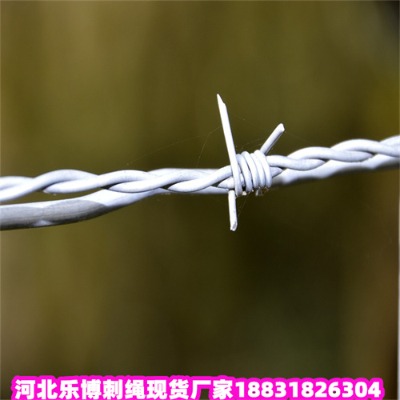 \KS2.0ȦɽFzW(wng)F(xin)؛(yng)