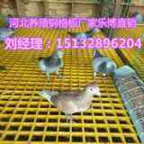 hB(yng)䓸䓘wSa(chn)