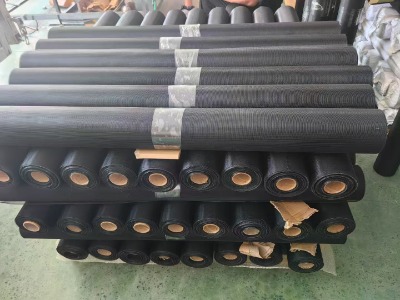 304|(zh)0.19״20ĿzlW(wng)ӺüW(wng)