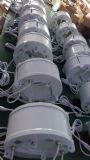 (yng)LEDLED|