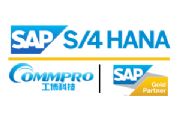 sap s/4 hanaI(y)̄(w)׼-sap̹