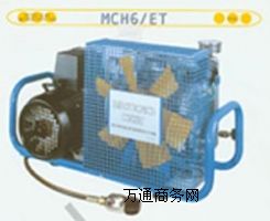 (yng)MCH6/EM՚