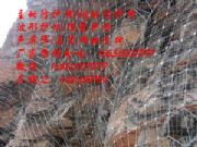 |dxӾWS|(ji)ӷoW|ԾWb