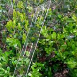 Sa(chn)1MM_ϻʮ|(zh)PC