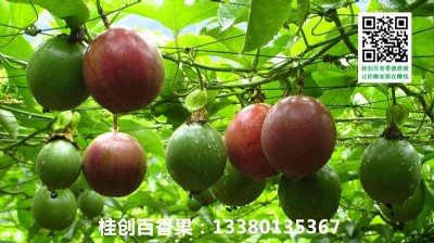 ϺϺl(f)rNVԽϰa(chn)