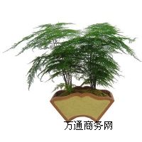 kֲ[,hkֲ[
