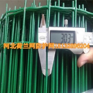 B(yng)ֳmW(wng)1.8x30mβo(h)W(wng)SֱN