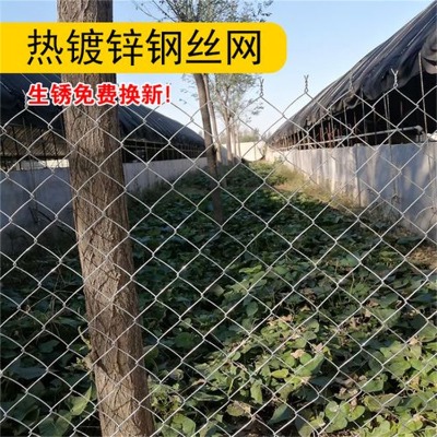 2mm֑(h)(chng)W(wng)W(xu)Уو(chng)o(h)W(wng)W(xu)Уw(chng)