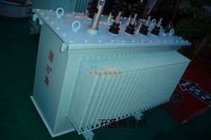 10kv׃NļҺ     ͵̩ƅR޹˾