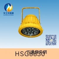 HSG8830/BTC8830LEDͶ