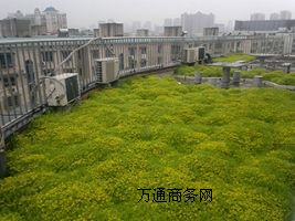 픻@e_G픾G