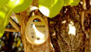 kestrel dropoh(hun)ӛ䛃x