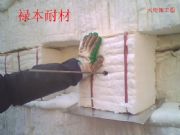 ֱN(bio)(zhn)1260մwSģK