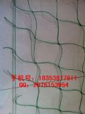 ϾʾW(wng)Űȫ=ƽɽB(yng)ֳW(wng)HDPEW(wng)=l(f)
