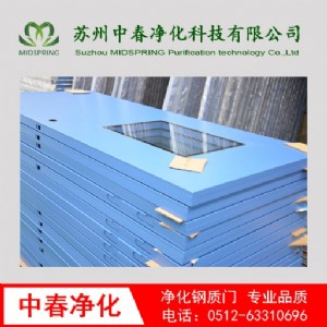 凈化門窗 鋼質(zhì)凈化門 醫(yī)用凈化門 鋼制凈化門 不銹鋼潔凈門