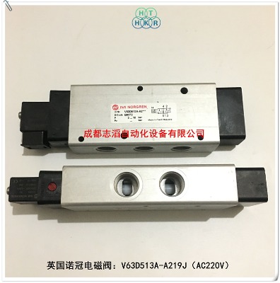 v63d513a-a219jӢZ늴ynorgren