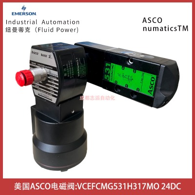 VCEFCMG531H317MO(gu)˹ASCO늴y